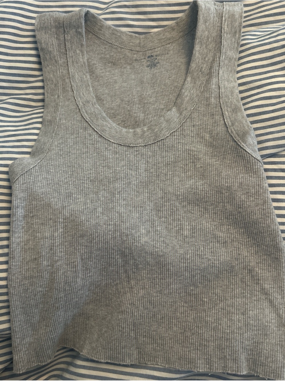 Brandy Melville Gray Ribbed Tank Top